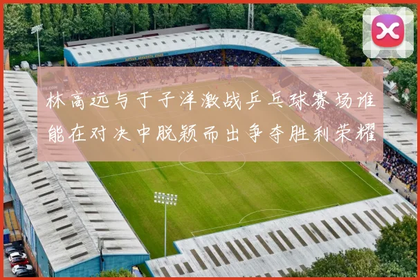 林高远与于子洋激战乒乓球赛场谁能在对决中脱颖而出争夺胜利荣耀