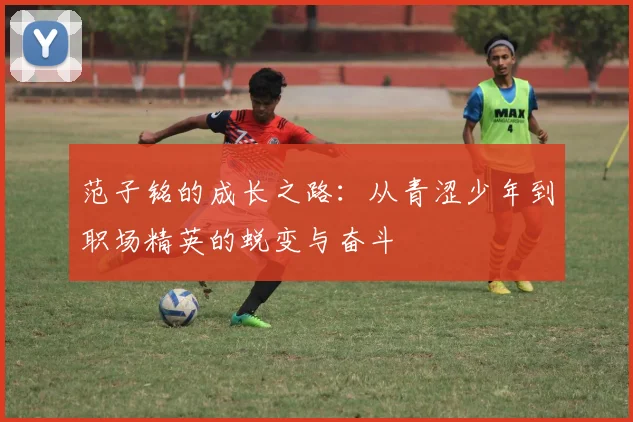 范子铭的成长之路：从青涩少年到职场精英的蜕变与奋斗